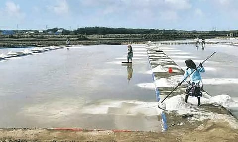 தூத்துக்குடிக்கே இப்படியொரு நிலையா? குஜராத்தில் இருந்து 40 ஆயிரம் டன் உப்பு வருகை