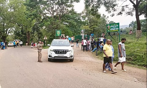 தெப்பக்காடு வளர்ப்பு யானைகள் முகாம் எதிரே சுற்றுலா பயணிகள் வாகனங்கள் நிறுத்த தடை