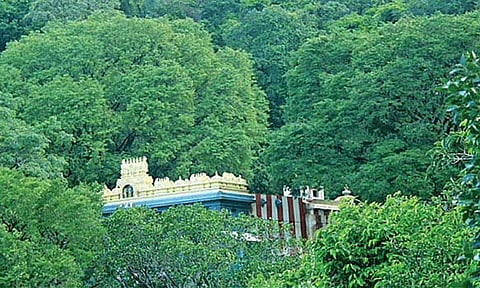 நெல்லை: திருக்குறுங்குடி நம்பி கோவிலுக்கு செல்ல பக்தர்களுக்கு அனுமதி