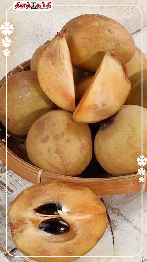 சம்மருக்கு சிறந்த.. சப்போட்டா பழத்தின் சீசன் வந்தாச்சு?