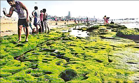 திருச்செந்தூரில் 2-வது நாளாக கடல் உள்வாங்கியது