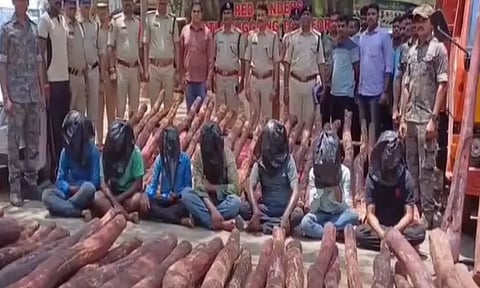 திருப்பதி அருகே ரூ.2.5 கோடி மதிப்பிலான செம்மரக்கட்டைகள் பறிமுதல் - 7 பேர் கைது