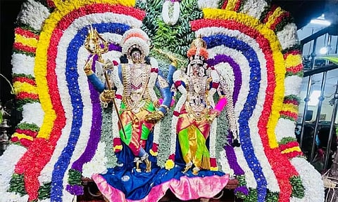 மேல்மலையனூரில் அமாவாசை விழா- ஆயிரக்கணக்கான பக்தர்கள் தரிசனம்