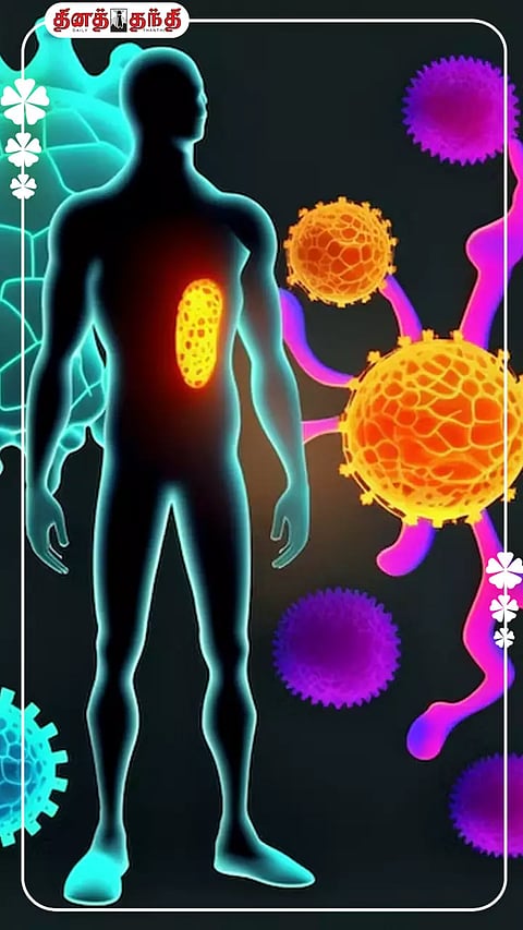 வெயில்காலத்தில் நோய் எதிர்ப்பு சக்தியை அதிகரிக்கும் டாப் 08  உணவுகள்..!