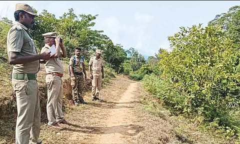 கூடலூர் வனக்கோட்டத்தில் புலிகள் கணக்கெடுக்கும் பணி தொடக்கம்