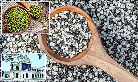 உளுந்து, பச்சைப்பயறு குறைந்தபட்ச ஆதரவு விலையில் கொள்முதல்: தமிழக அரசு அறிவிப்பு