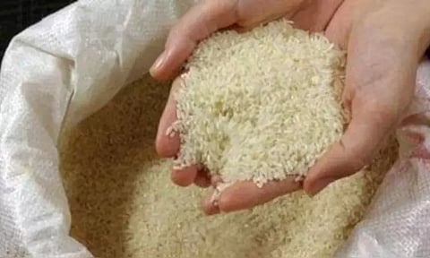 அரிசி வகைகளுக்கு 20 சதவீத ஏற்றுமதி வரி விதித்த மத்திய அரசு