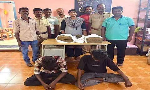 கோவில்பட்டியில் விற்பனைக்காக 22 கிலோ கஞ்சா வைத்திருந்த 3 பேர் கைது