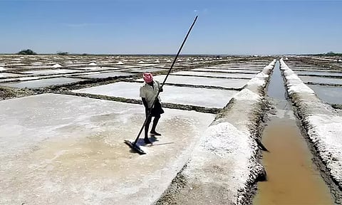 கோடை வெயிலால் மரக்காணம் பகுதியில் உப்பு உற்பத்தி அமோகம்