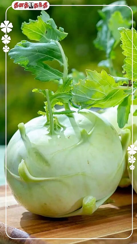 அன்றாட உணவில் நூல்கோல் சேர்ப்பதால் இவ்வளவு நன்மைகளா?