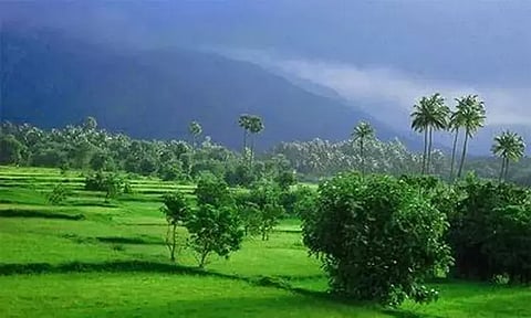 தென்மேற்கு பருவமழை முன்கூட்டியே தொடங்க வாய்ப்பு.. வெளியான தகவல்