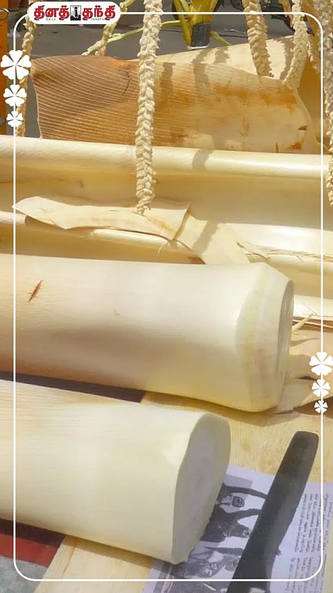 தென்னங்குருத்து சாப்பிடுவதால் இவ்வளவு நன்மைகளா?