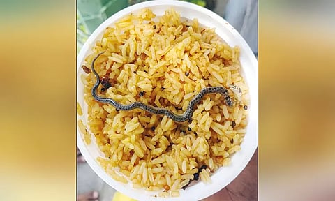 கோவில் பிரசாதத்தில் கிடந்த பாம்பு குட்டி... பெண் பக்தர் அதிர்ச்சி