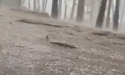 கொடைக்கானலில் திடீரென பெய்த ஆலங்கட்டி மழை