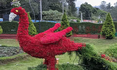 கொடைக்கானலில் 24-ந்தேதி மலர் கண்காட்சி தொடக்கம்