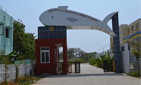 தமிழ்நாடு டாக்டர் ஜெ ஜெயலலிதா மீன்வள பல்கலைக்கழகத்தில் பல்வேறு துறைகளில் ஏராளமான படிப்புகள் - முழு விவரம்