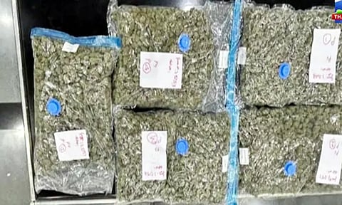 கோவை விமான நிலையத்தில் ரூ.5 கோடி மதிப்பிலான கஞ்சா பறிமுதல்