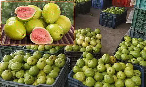 சுகர் லெவல் ஏறும் என்ற பயம் வேண்டாம்.. தாராளமா இந்த பழத்தை சாப்பிடுங்க..!