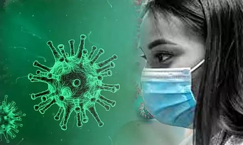 Monitoring of corona cases spreading in Kerala - Tamil Nadu Health Department