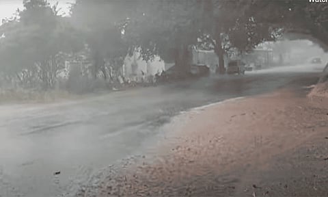 தென்மேற்கு பருவமழை: கோவை, நீலகிரி,தேனி உள்ளிட்ட மாவட்டங்களில் கனமழை