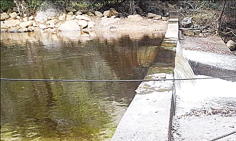 நெல்லை, தென்காசியில் கனமழை: வேகமாக நிரம்பும் அணைகள்