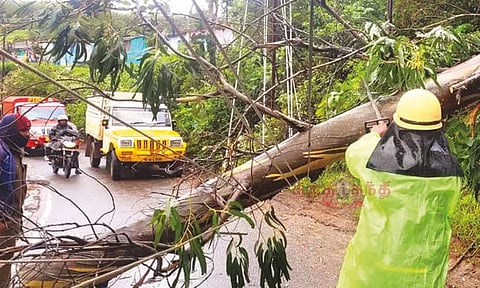 கனமழை.. நிலச்சரிவு அபாயம்: ஊட்டியில் சுற்றுலா தலங்கள் மூடல்