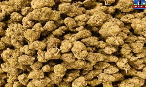 சென்னை விமான நிலையத்தில் ரூ.1 கோடி மதிப்பிலான உயர் ரக கஞ்சா பறிமுதல்