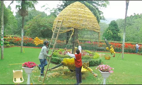 குன்னூர் சிம்ஸ் பூங்காவில் கண்காட்சிக்கு வைக்கப்பட்ட 4 டன் பழங்கள் அகற்றும் பணி தீவிரம்