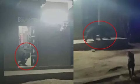 கிராமத்திற்குள் புகுந்த கரடி; பொதுமக்கள் அச்சம்