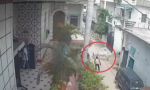 தெருவில் நடந்து சென்றவரை முட்டிக்கொன்ற காளை