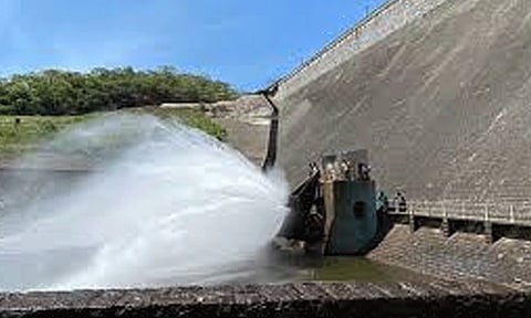 நெல்லை: பாபநாசம் அணையில் இருந்து பாசனத்துக்காக தண்ணீர் திறப்பு