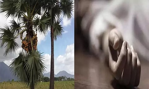 தூத்துக்குடி: பனை மரத்திலிருந்து தவறி விழுந்த மாணவன் உயிரிழப்பு