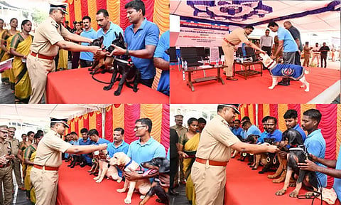 சென்னை மோப்ப நாய் படைப்பிரிவில் புதிதாக 11 துப்பறியும் நாய் குட்டிகள் இணைப்பு