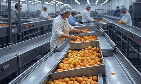 உணவு பதப்படுத்துதல் மற்றும் தொழில்நுட்பப் படிப்புகள்..எங்கெல்லாம் படிக்கலாம்?