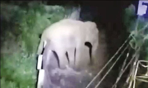 நீலகிரி: சுற்றுச்சுவரை உடைத்த காட்டு யானை