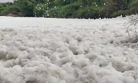 தென்பெண்ணை ஆற்றில் பொங்கி வரும் ரசாயன நுரை - விவசாயிகள் அதிர்ச்சி