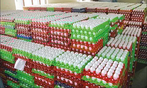 நாமக்கல்லில் இருந்து அமெரிக்காவுக்கு 1 கோடி முட்டைகள் ஏற்றுமதி