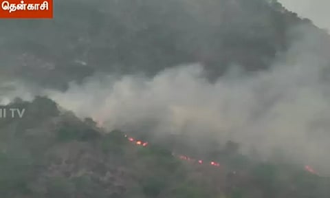 தென்காசி: மேற்கு தொடர்ச்சி மலைப்பகுதியில் பற்றி எரியும் காட்டுத் தீ