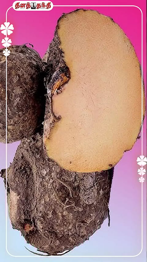 வாரம் ஒருமுறை சேனைக்கிழங்கு சாப்பிடலாமா?