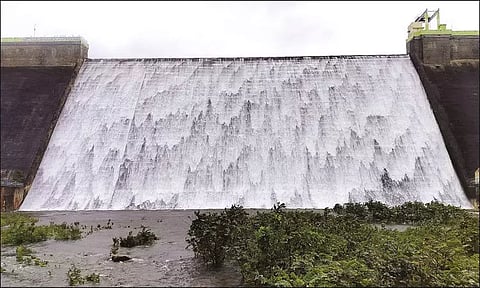 5 ஆண்டுகளுக்கு பிறகு தென்மேற்கு பருவமழையில் நிரம்பிய அடவிநயினார் அணை
