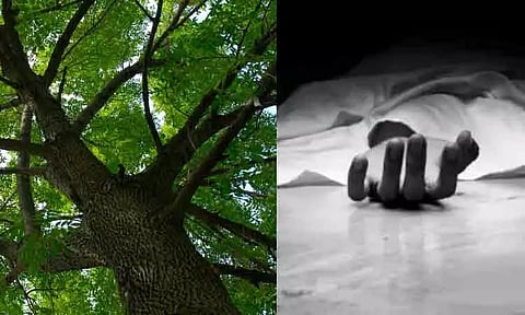 கோப்புப்படம் 