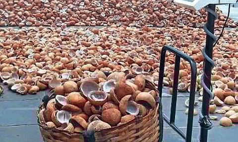 கொப்பரைக்கு தட்டுப்பாடு: தேங்காய் எண்ணெய் விலை 'கிடுகிடு' உயர்வு