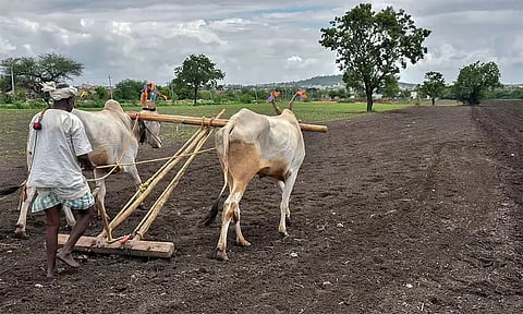 மராட்டியம்: 2 மாதங்களில் 479 விவசாயிகள் தற்கொலை