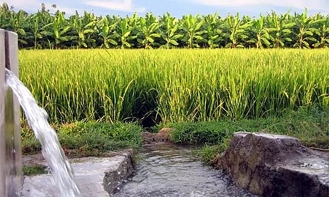 பாசன வேளாண்மை திட்டத்திற்கு கூடுதலாக ரூ.305 கோடி நிதி ஒதுக்கீடு: தமிழக அரசு