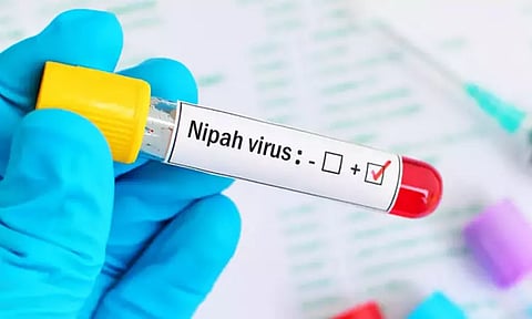 கோப்புப்படம் 