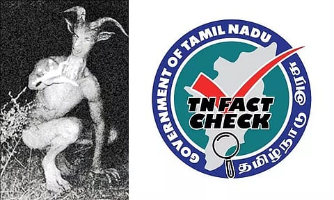 திருவண்ணாமலையில் மனிதர்களை தாக்கிய வினோத விலங்கு? - தமிழக அரசு விளக்கம்