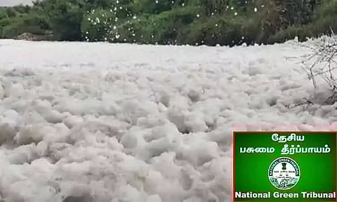 தென்பெண்ணை ஆற்றில் கழிவுநீர் - பசுமை தீர்ப்பாயம் உத்தரவு