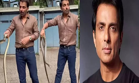 வீட்டு வளாகத்திற்குள் நுழைந்த பாம்பை வெறும் கையால் பிடித்த நடிகர் சோனு சூட்