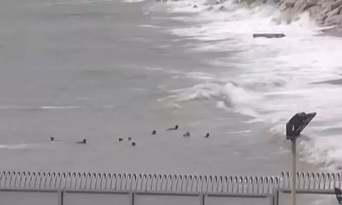 மொராக்கோவில் இருந்து ஸ்பெயினுக்குள் நுழைய கடலில் நீந்தி ஆபத்தான பயணம் - 84 பேர் மீட்பு