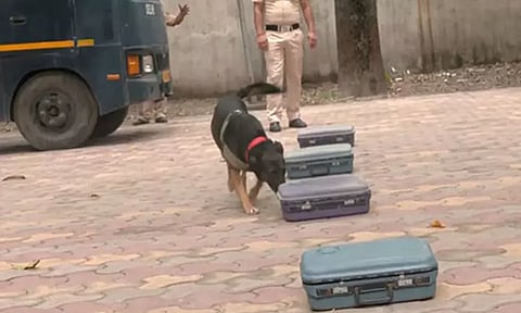 மோப்ப நாய்கள் வெடிகுண்டை கண்டுபிடித்ததும் இனி குரைக்காது... ஏன்? என தெரிந்து கொள்வோம்